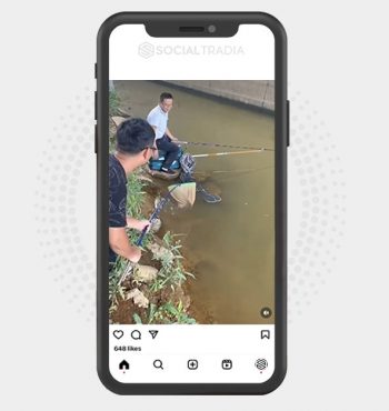 buy Instagram account Fish Yard (22.4 k Followers)
