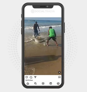 buy Instagram account Fishing Pro (14.3 k Followers)
