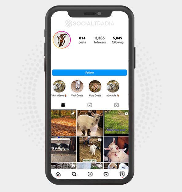 buy Instagram account GoatProfile (3.4 k Followers) buy Instagram account GoatProfile (3.4 k Followers)