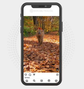 buy Instagram account GoatProfile (3.4 k Followers)
