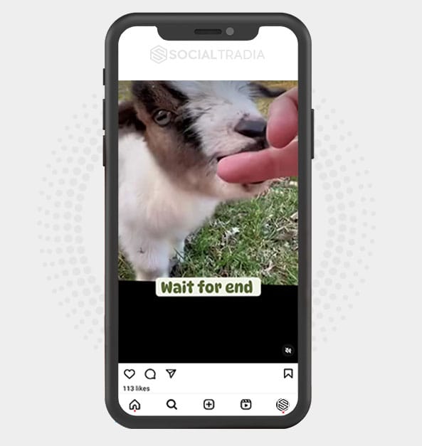 buy Instagram account GoatProfile (3.4 k Followers) buy Instagram account GoatProfile (3.4 k Followers)