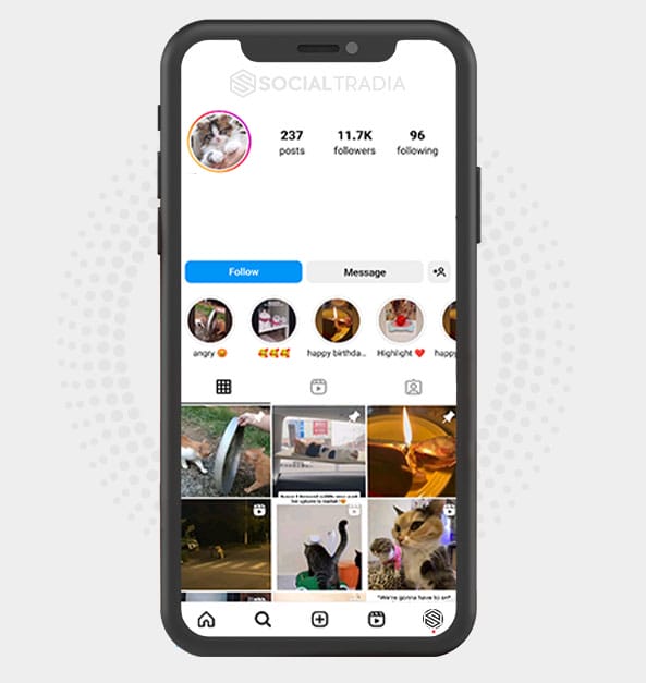 buy Instagram account KittenDance (11.6 k Followers)
