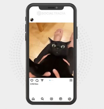 buy Instagram account KittyBlack (52.8 k Followers)