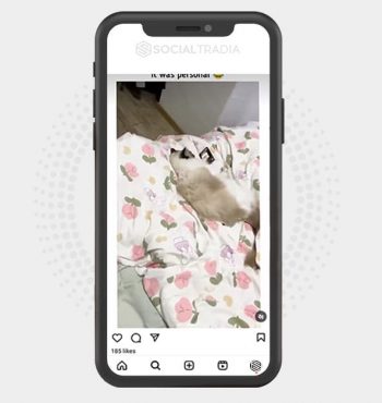 buy instagram account