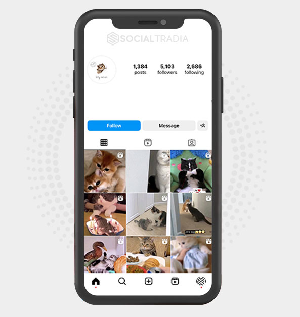 buy Instagram account KittyFor (5.1 k Followers)