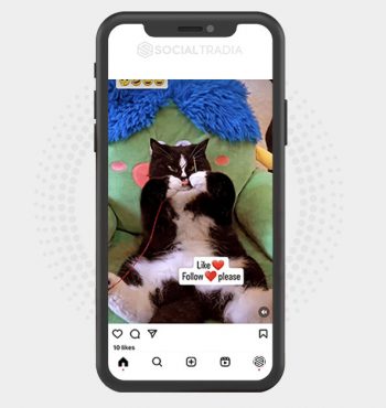 buy Instagram account KittyFor (5.1 k Followers)