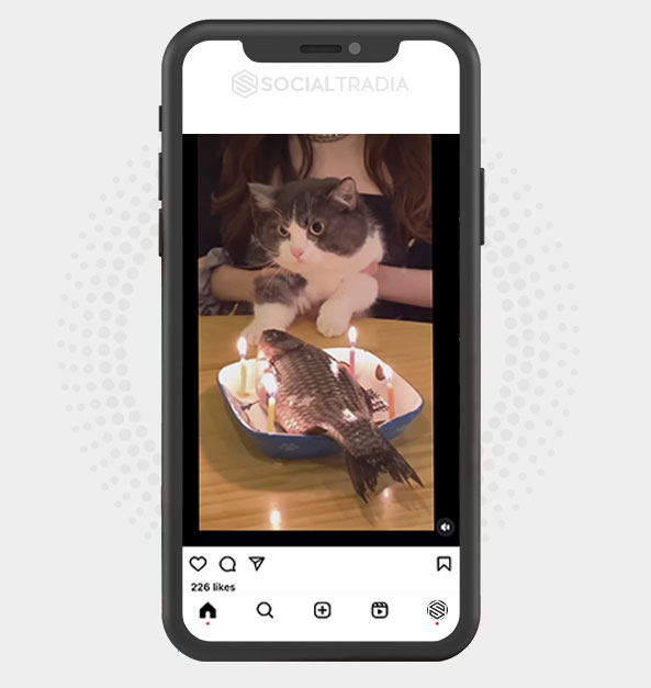 buy Instagram account KittyFor (5.1 k Followers)