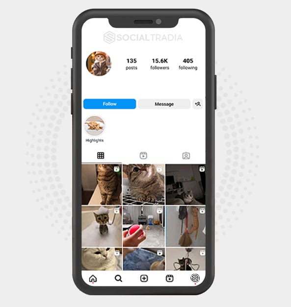 buy Instagram account KittyPurr (30.3 k Followers)