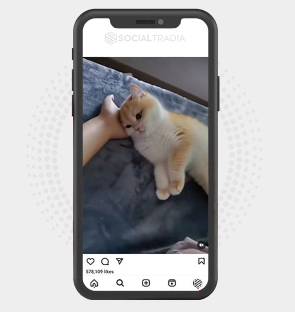 buy Instagram account KittyPurr (30.3 k Followers)