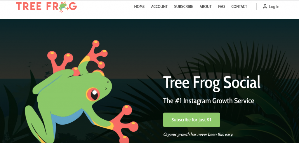 tree frog