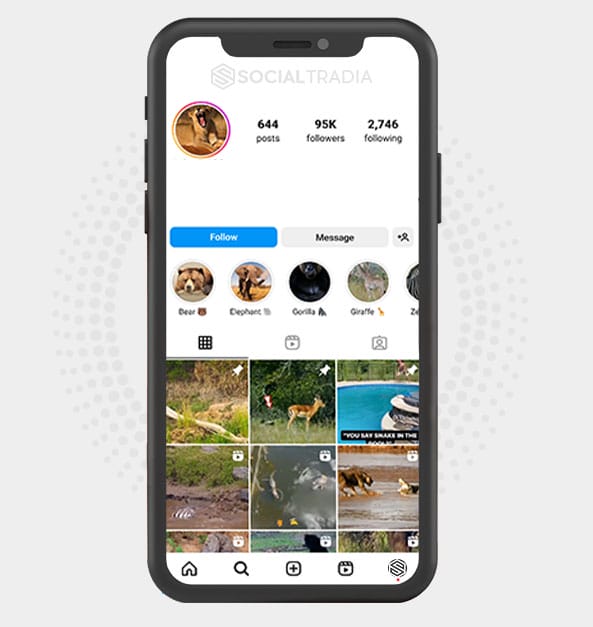 buy Instagram account Wildlife Here (95 k Followers) buy Instagram account Wildlife Here (95 k Followers)