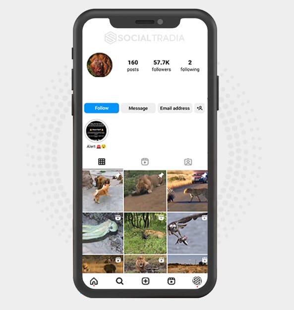 buy Instagram account WildYard (57.7 k Followers)