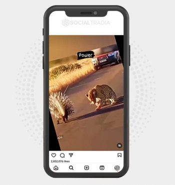 buy Instagram account WildYard (57.7 k Followers)