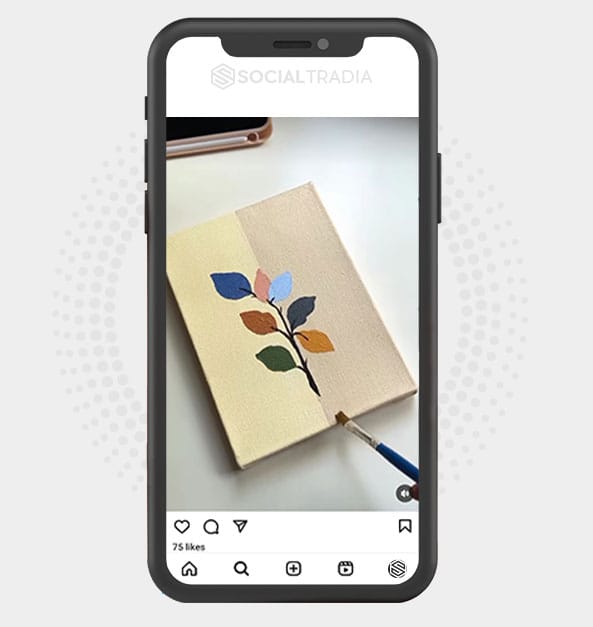 buy Instagram account Canvas Show (48.1 k Followers)