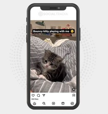 buy Instagram account Cat Bar (27.3 k Followers)