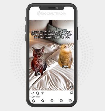 buy Instagram account CatDirect (64.4 k Followers)