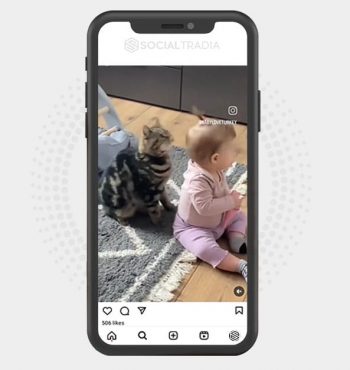 buy Instagram account CatMotivate (14.6 k Followers)