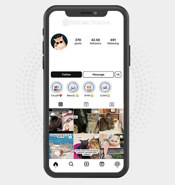 buy Instagram account Catt Blog (42.5 k Followers) buy Instagram account Catt Blog (42.5 k Followers)