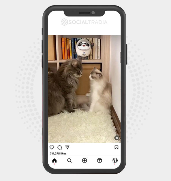 buy Instagram account Catt Blog (42.5 k Followers) buy Instagram account Catt Blog (42.5 k Followers)