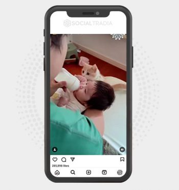 buy Instagram account CattWorld (36.3 k Followers)