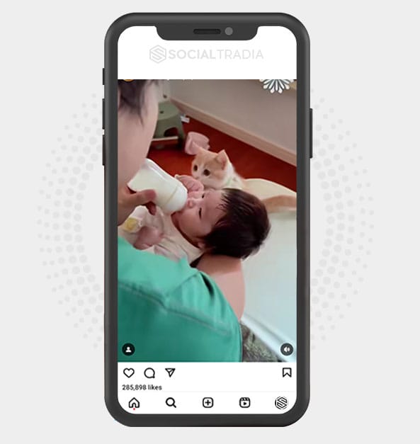buy Instagram account CattWorld (36.3 k Followers)