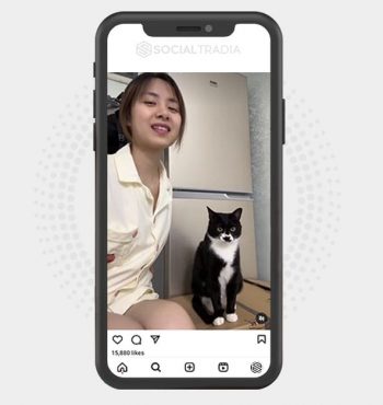 buy Instagram account Cool Pet (422 k Followers)