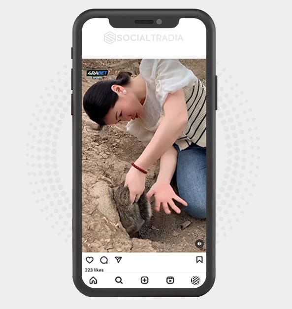 buy Instagram account Fishing Tool (148 k Followers)