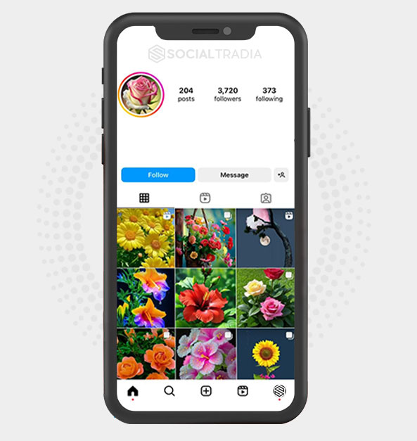 buy Instagram account flowerygarden (3.7 k Followers)
