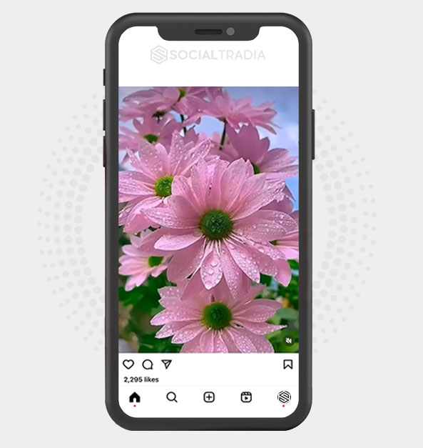 buy Instagram account flowerygarden (3.7 k Followers)