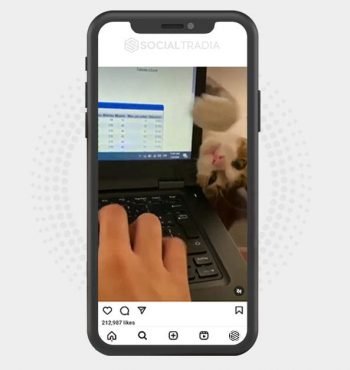 buy Instagram account _fluffy_catt__ (3.9 k Followers)