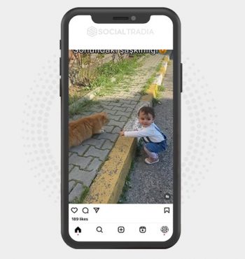 buy Instagram account kittyphotograph (2.3 k Followers)