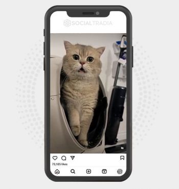 buy Instagram account KittyPole (30 k Followers)