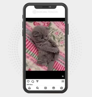 buy Instagram account _meow_miaow_ (2.1 k Followers)