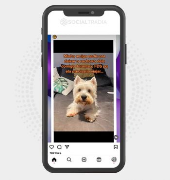 buy Instagram account Pet Floor (24.7 k Followers)