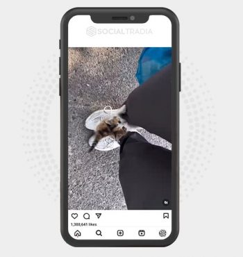 buy Instagram account Pet Gathering (46.7 k Followers)