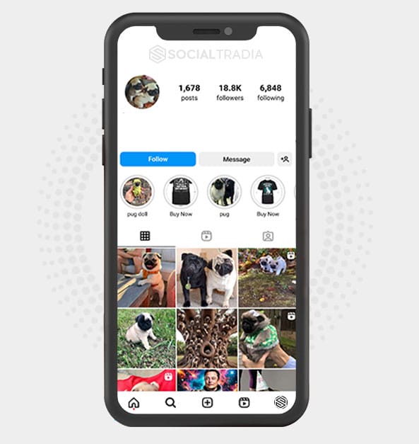 buy Instagram account Pug Doggy (18.8 k Followers)