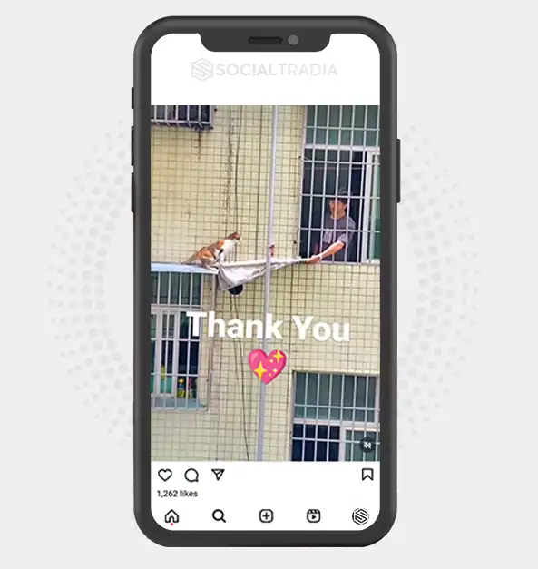 buy Instagram account Cool Kitty (8.2 k Followers)