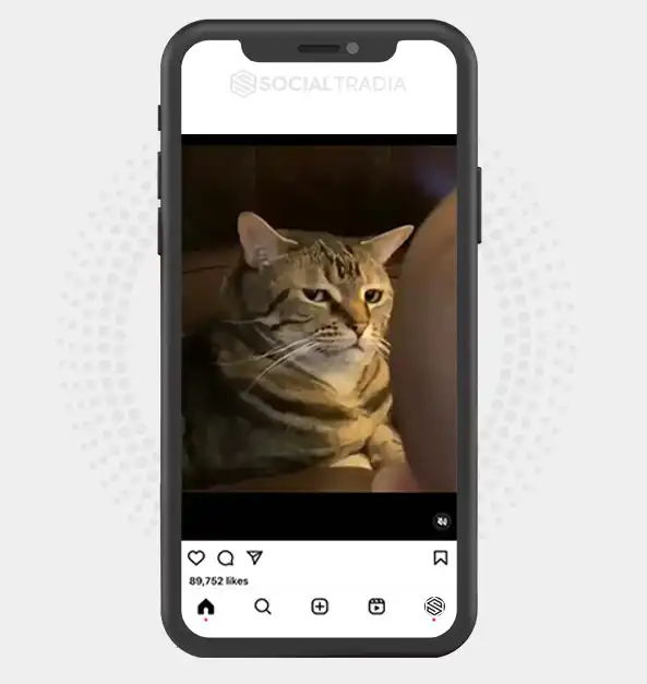 buy Instagram account KattyPerson (415 k Followers)