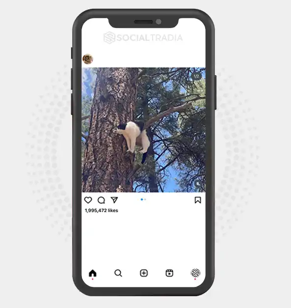 buy Instagram account KattyPerson (415 k Followers)