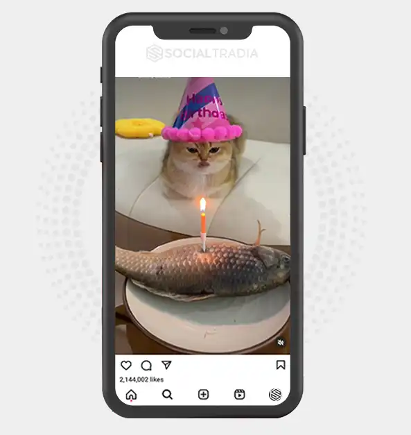 buy Instagram account KittyPaint (115 k Followers)