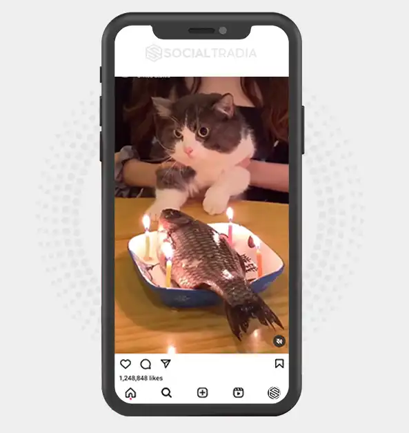 buy Instagram account KittyPaint (115 k Followers) buy Instagram account KittyPaint (115 k Followers)