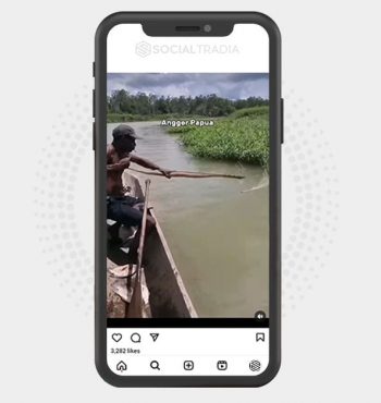 buy Instagram account NatureLiving (3.9 k Followers)