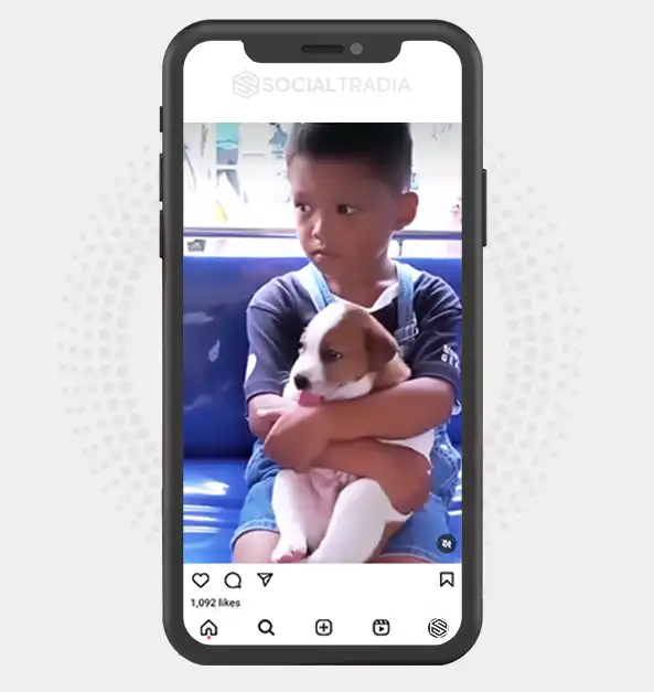 buy Instagram account Pet Park (22.6 k Followers)