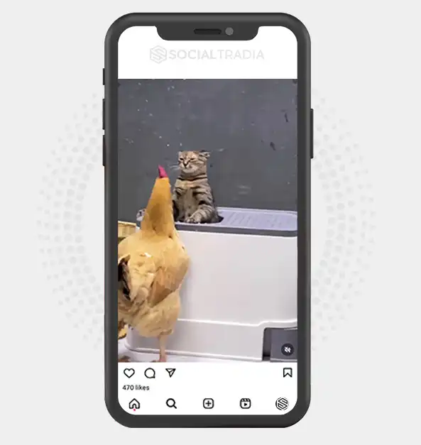 buy Instagram account Pet Park (22.6 k Followers) buy Instagram account Pet Park (22.6 k Followers)