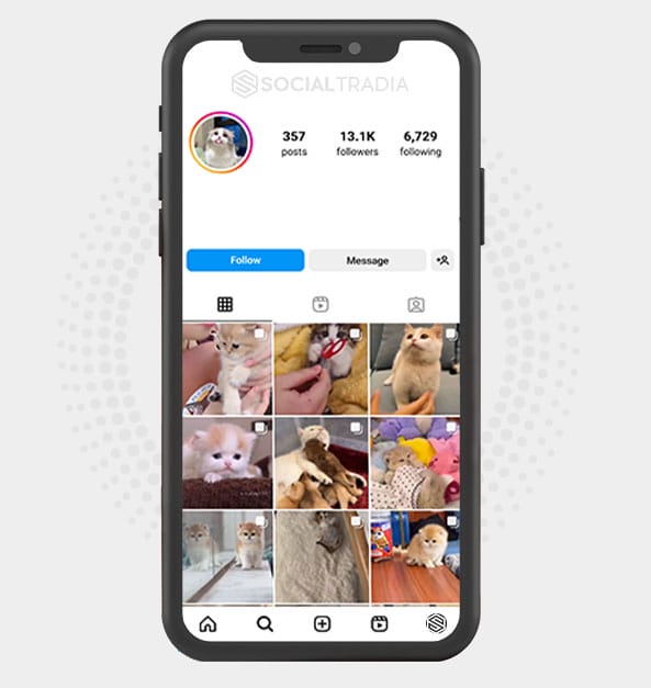 buy Instagram account StoryCat (13.1 k Followers) buy Instagram account StoryCat (13.1 k Followers)