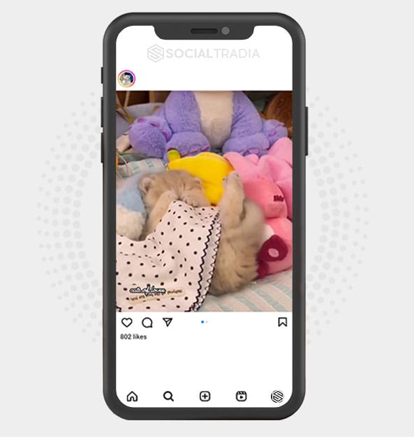 buy Instagram account StoryCat (13.1 k Followers) buy Instagram account StoryCat (13.1 k Followers)