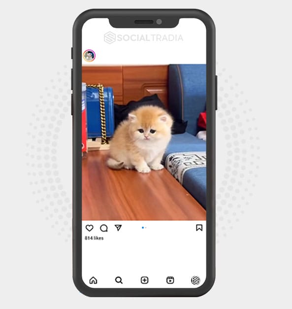 buy Instagram account StoryCat (13.1 k Followers) buy Instagram account StoryCat (13.1 k Followers)