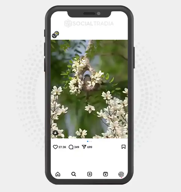 buy instagram account
