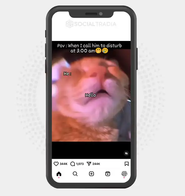 buy Instagram account Cat Cube (21.4 k Followers)