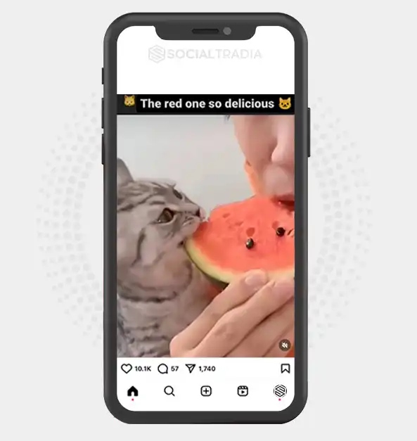 buy Instagram account cattyy_meow_ (2.2 k Followers)